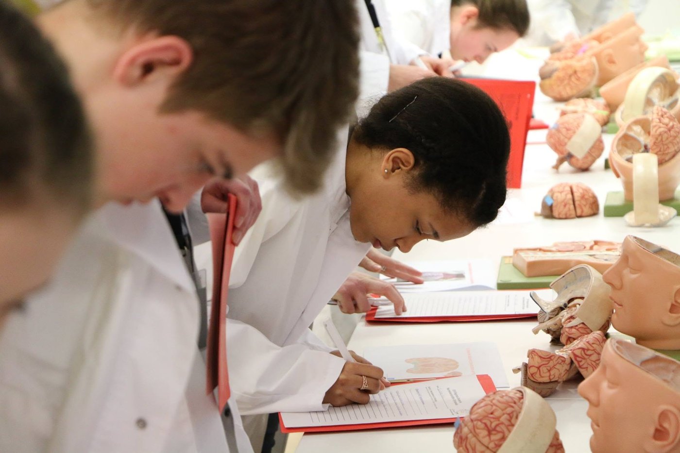 Student at a microscope with brain models