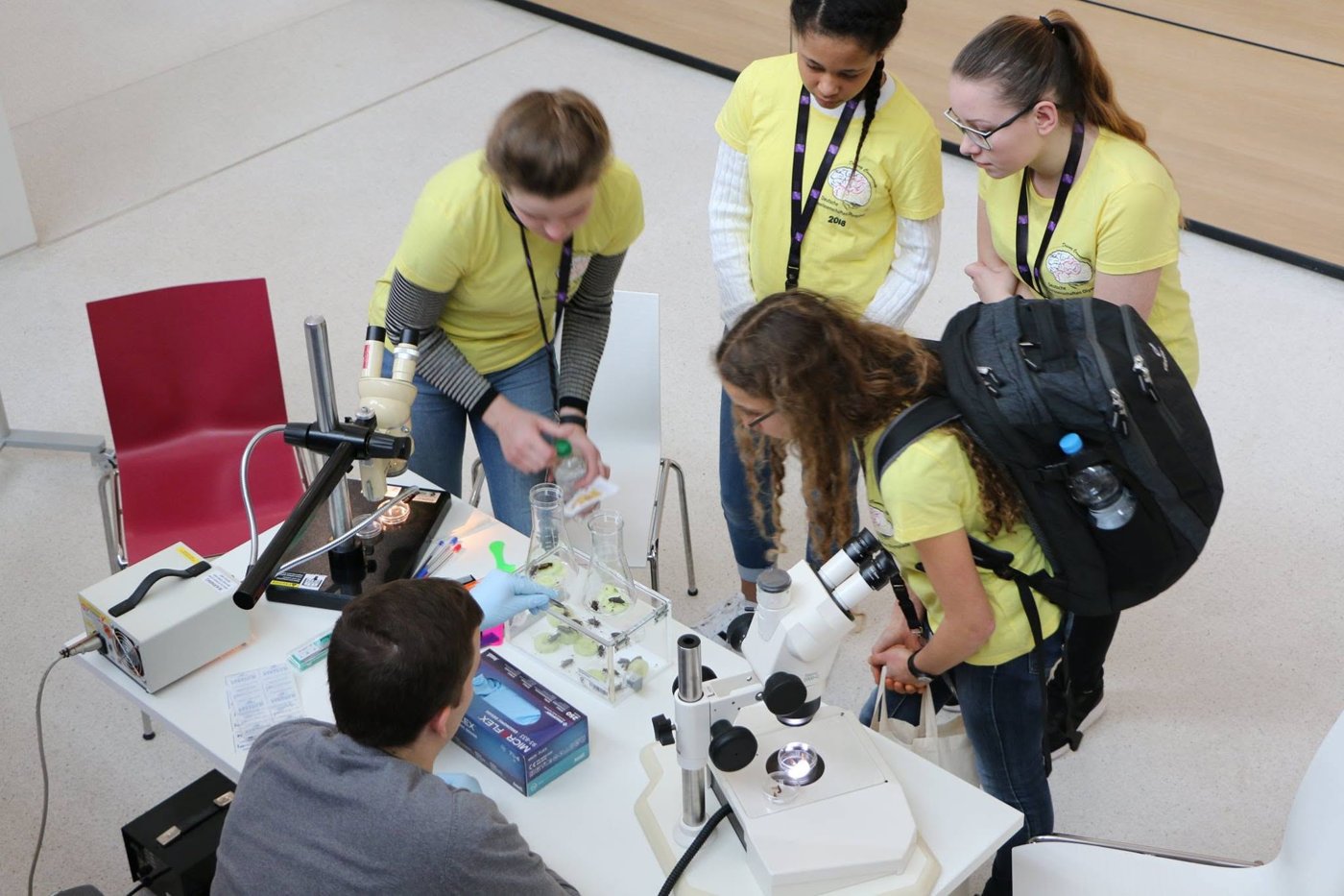 Volunteers helping students at microscopes