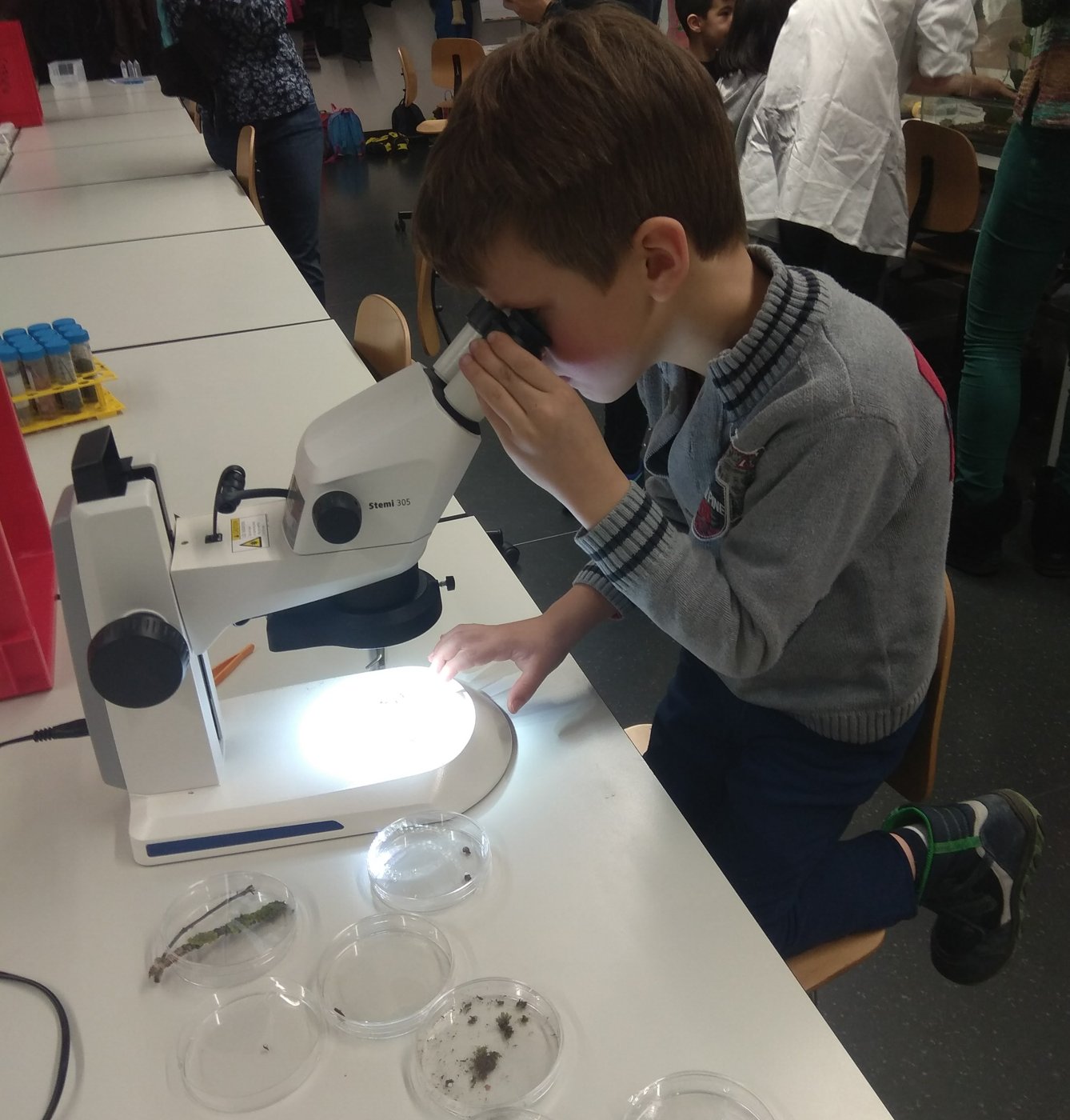 A boy looking through a microscope at Kids Day