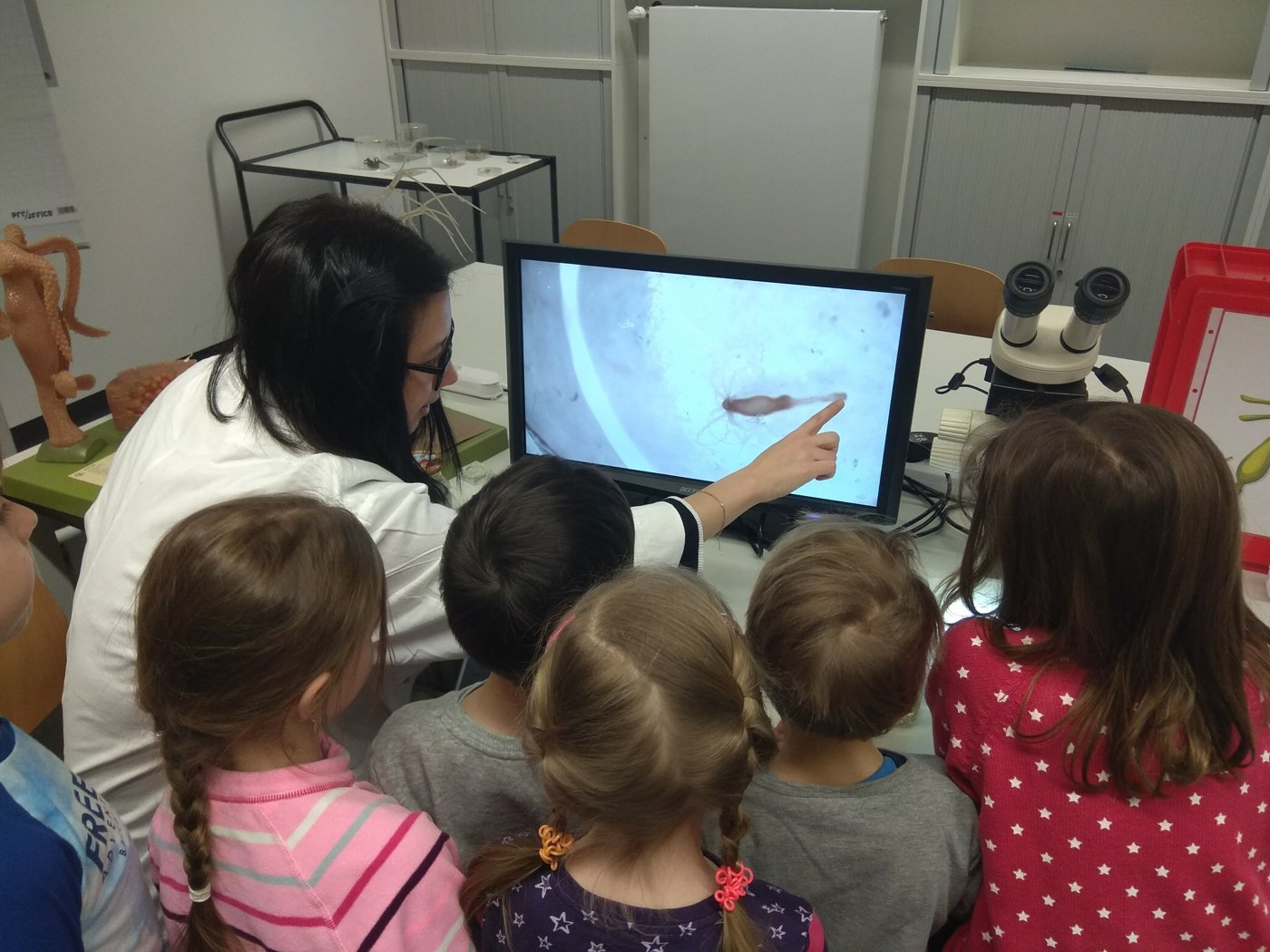 Showing children images on the microscope screen