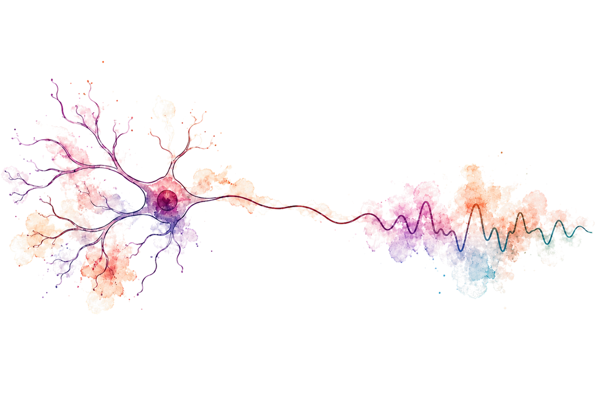 Neuron flowing into a cortical oscillation